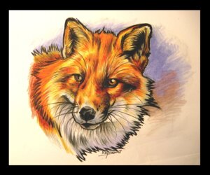 Rating: Safe Score: 0 Tags: 2008 ambiguous_gender black_border black_lips black_nose border brown_eyes bust_portrait canid canine e621 eattoast feral fluffy fox fur inner_ear_fluff lips long_mouth mammal no_sclera orange_body orange_fur portrait red_fox signature simple_background snout solo traditional_media_(artwork) true_fox tuft whiskers white_body white_fur User: bunchy7s