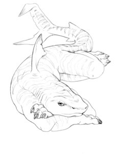 Rating: Safe Score: 0 Tags: ambiguous_gender anthro aquatic claws dark_natasha e621 fin fish greyscale looking_at_viewer monochrome requiem_shark shark simple_background solo tail tiger_shark white_background User: bunchy7s Rating: Safe Score: 0 Tags: ambiguous_gender anthro aquatic claws dark_natasha e621 fin fish greyscale looking_at_viewer monochrome requiem_shark shark simple_background solo tail tiger_shark white_background User: bunchy7s