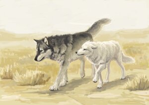 Rating: Safe Score: 0 Tags: ambiguous_gender canid canine canis duo e621 feral fur grey_body grey_fur mammal nablange quadruped size_difference tail walking white_body white_fur wolf User: bunchy7s Rating: Safe Score: 0 Tags: ambiguous_gender canid canine canis duo e621 feral fur grey_body grey_fur mammal nablange quadruped size_difference tail walking white_body white_fur wolf User: bunchy7s