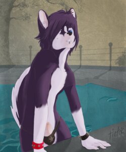 Rating: Explicit Score: 0 Tags: 5:6 anthro balls_in_underwear banana_hammock blue_eyes canid canine canis clothing detailed_background domestic_dog e621 erection facial_piercing femboy fluffy fluffy_tail foreskin fur genitals hair husky lip_piercing looking_at_viewer male mammal nordic_sled_dog outside penis piercing plant purple_body purple_fur purple_hair ransom_(sangie_nativus) sky smile solo spitz swimming_pool tail thong tictac_(artist) tree underwear water wood User: bunchy7s