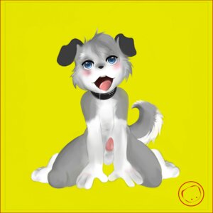 Rating: Explicit Score: 0 Tags: 1:1 animal_genitalia anthro balls canid canine canis countershading digital_media_(artwork) domestic_dog e621 erection genitals harumi kemono male mammal nude penis sheath shota solo tail young young_anthro young_male User: bunchy7s Rating: Explicit Score: 0 Tags: 1:1 animal_genitalia anthro balls canid canine canis countershading digital_media_(artwork) domestic_dog e621 erection genitals harumi kemono male mammal nude penis sheath shota solo tail young young_anthro young_male User: bunchy7s