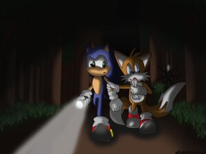 Rating: Safe Score: 0 Tags: absurd_res ambiguous_gender anthro arm_grab back_tentacles blue_body blue_eyes blue_fur canid canine clothing creepypasta detailed_background duo e621 eulipotyphlan flashlight footwear forest fox fur gloves green_eyes handwear hedgehog hi_res male mammal miles_prower multi_tail nature nervous night outside plant sega shoes slenderman sonic_the_hedgehog sonic_the_hedgehog_(series) suit tail tentacles tree xrubimalonex yellow_body yellow_fur User: bunchy7s
