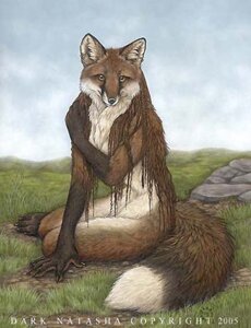 Rating: Safe Score: 0 Tags: 2005 5_fingers anthro canid canine dark_natasha detailed detailed_background digitigrade e621 female fingers fog fox fur hair humanoid_hands long_hair looking_at_viewer low_res mammal mane mane_hair mullet nude realistic red_body red_fox red_fur signature solo tail true_fox werecanid werecanine werecreature werefox User: bunchy7s