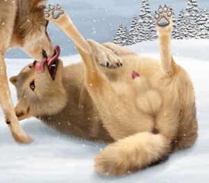 Rating: Explicit Score: 0 Tags: amber_eyes anatomically_correct anatomically_correct_genitalia anatomically_correct_penis animal_genitalia animal_penis anus balls black_claws black_lips brown_body brown_fur canid canine canine_genitalia canine_penis canis claws countershade_face countershade_tail countershade_torso countershading detailed_background duo e621 ebon_lupus erection face_lick fangs feral feral_on_feral fluffy fluffy_tail forest fur genitals grey_sky licking lips lying male mammal northwestern_wolf on_back open_mouth outside pawpads penis penis_tip plant sheath sky snow snowing tail tan_body tan_fur teeth tongue tongue_out tree urethra wolf wood yellow_eyes User: bunchy7s