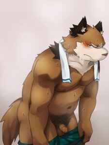 Rating: Explicit Score: 0 Tags: anthro balls biceps blue_eyes blush bodily_fluids bottomwear brown_body brown_fur canid canine clothed clothing e621 flaccid foreskin fur genitals humanoid_genitalia humanoid_penis long_foreskin looking_at_viewer male mammal muscular muscular_anthro muscular_male ni_ki nikiciy nipples pecs penis pubes raccoon_dog shorts simple_background slightly_chubby solo sweat tail tanuki topless towel towel_around_neck undressing unretracted_foreskin white_background User: bunchy7s