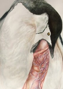 Rating: Explicit Score: 0 Tags: ambiguous_gender avian beak beak_fetish beak_play beak_sex beakjob bestiality bird brittany_zagoria brush-tailed_penguin chinstrap_penguin disembodied_penis duo e621 erection fellatio feral genitals human human_on_feral humanoid_genitalia humanoid_penis interspecies male male/ambiguous mammal oral painting_(artwork) penguin penile penis realistic realistic_feral sex solo_focus traditional_media_(artwork) traditional_painting_(artwork) traditional_watercolor_(artwork) vein watercolor_(artwork) User: bunchy7s