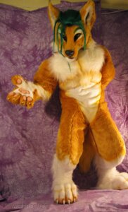 Rating: Safe Score: 0 Tags: anthro beetlecat biped canid canine canis claws clothing costume coyote e621 fur fursuit grandfathered_content green_hair hair heart_symbol hybrid looking_at_viewer male mammal orange_body orange_fur paws real solo standing tail wolf User: bunchy7s Rating: Safe Score: 0 Tags: anthro beetlecat biped canid canine canis claws clothing costume coyote e621 fur fursuit grandfathered_content green_hair hair heart_symbol hybrid looking_at_viewer male mammal orange_body orange_fur paws real solo standing tail wolf User: bunchy7s