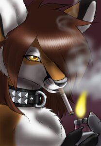 Rating: Safe Score: 0 Tags: anthro black_body black_fur black_lips brown_body brown_fur brown_hair canid canine chest_tuft cigarette claws collar cox digital_media_(artwork) e621 femboy fire fox fur gideon hair hair_over_eye holding_lighter holding_object lighter lips male mammal one_eye_obstructed smoke smoke_from_mouth smoking solo thick_bottom_lip tuft white_body white_fur yellow_eyes User: bunchy7s