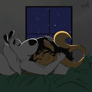 Rating: Questionable Score: 0 Tags: 2011 anthro butch_hartman_(copyright) cat cuddling cute dog dudley_puppy female fur furry heartwarming interspecies kitty_katswell lying_on_bed night nude on_bed romantic_couple rule34 sleeping stars straight t.u.f.f._puppy themauvestorm window User: bunchy7s