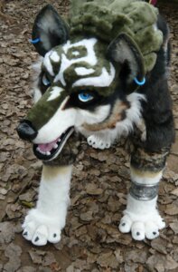 Rating: Safe Score: 0 Tags: ambiguous_gender beastcub canid canine canis clothing costume e621 feral fursuit grandfathered_content hi_res link_(wolf_form) mammal nintendo piercing quadsuit real solo the_legend_of_zelda twilight_princess wolf User: bunchy7s Rating: Safe Score: 0 Tags: ambiguous_gender beastcub canid canine canis clothing costume e621 feral fursuit grandfathered_content hi_res link_(wolf_form) mammal nintendo piercing quadsuit real solo the_legend_of_zelda twilight_princess wolf User: bunchy7s