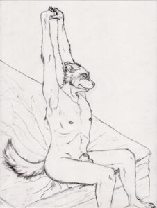 Rating: Explicit Score: 0 Tags: animal_genitalia anthro armpit_hair arms_above_head balls bed biped black_and_white black_nose body_hair butt canid canine claws e621 eyes_closed feet flaccid front_view full-length_portrait furniture genitals graphite_(artwork) hi_res hindpaw male mammal monochrome nipple_piercing nipples nude paws penis piercing portrait semiotica sheath sitting solo stretching tail three-quarter_view traditional_media_(artwork) User: bunchy7s