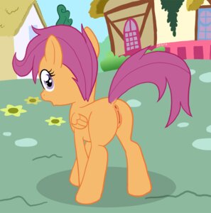 Rating: Explicit Score: 0 Tags: 2012 anus butt city e621 equid equine feathered_wings feathers female feral friendship_is_magic genitals hasbro looking_at_viewer looking_back mammal my_little_pony mythological_creature mythological_equine mythology nerdmouse orange_body orange_feathers pegasus quadruped scootaloo_(mlp) solo tail vulva wings young young_feral User: bunchy7s Rating: Explicit Score: 0 Tags: 2012 anus butt city e621 equid equine feathered_wings feathers female feral friendship_is_magic genitals hasbro looking_at_viewer looking_back mammal my_little_pony mythological_creature mythological_equine mythology nerdmouse orange_body orange_feathers pegasus quadruped scootaloo_(mlp) solo tail vulva wings young young_feral User: bunchy7s