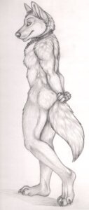 Rating: Safe Score: 0 Tags: 2010 4_fingers 4_toes anthro archived_source barefoot bdsm biped bondage bound canid canine canis chain chained claws collar cuff_(restraint) e621 feet fingers full-length_portrait fur graphite_(artwork) greyscale hands_behind_back korrok looking_at_viewer male mammal metal_collar monochrome muscular muscular_anthro muscular_male muscular_sub nude plantigrade portrait pose restrained restraints rufus_wolf shackles side_view simple_background slave smile solo standing submissive submissive_male tail tattoo toe_claws toes traditional_media_(artwork) unavailable_at_source white_background wolf User: bunchy7s