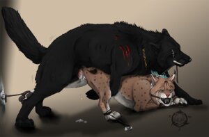 Rating: Explicit Score: 0 Tags: all_fours ball_gag bdsm blood bodily_fluids canid canine canis cum cum_in_vagina cum_inside doggystyle duo e621 erection felid feline female female_penetrated feral feral_on_feral from_behind_position gag gagged genital_fluids genitals interspecies knot leash lying lynx male male/female male_penetrating male_penetrating_female mammal melltdown nude penetration penile penile_penetration penis penis_in_vagina sex vaginal vaginal_penetration vulva wolf User: bunchy7s
