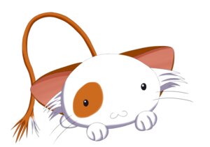 Rating: Safe Score: 0 Tags: :3 absurd_res all_fours ambiguous_gender beforethedaylight big_ears domestic_cat e621 felid feline felis feral hi_res long_tail looking_at_viewer mammal mashiroiro_symphony pan-nya simple_background solo tail whiskers white_background User: bunchy7s