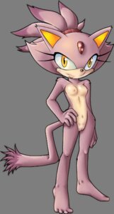 Rating: Explicit Score: 0 Tags: anthro blaze_the_cat breasts cat domestic_cat feline female female_only fur mammal nipples pussy rule34 sega solo sonic_(series) sonic_the_hedgehog_(series) straight_hair tagme tail User: bunchy7s