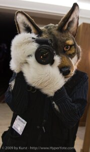 Rating: Safe Score: 0 Tags: anthro camera canid canine canis clothing costume coyote e621 fursuit grandfathered_content male mammal real scribblefox self_portrait solo User: bunchy7s