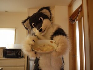Rating: Safe Score: 0 Tags: ambiguous_gender anthro canid canine clothing costume e621 food fox fursuit grandfathered_content mammal netiel photography_(artwork) plate real solo soup User: bunchy7s Rating: Safe Score: 0 Tags: ambiguous_gender anthro canid canine clothing costume e621 food fox fursuit grandfathered_content mammal netiel photography_(artwork) plate real solo soup User: bunchy7s