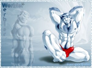 Rating: Explicit Score: 0 Tags: anthro armpit_hair bear biped body_hair bulge chest_tuft clothed clothing detailed_bulge e621 fur genital_outline hands_behind_head ivikn male mammal muscular muscular_anthro muscular_male nipples penis_outline polar_bear pubes sitting solo thong tuft underwear ursine werbier User: bunchy7s
