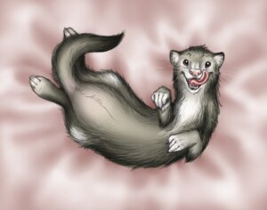 Rating: Safe Score: 0 Tags: 2009 ambiguous_gender anakuro bedding bedding_background detailed digital_media_(artwork) domestic_ferret e621 feral licking licking_lips licking_own_lips looking_at_viewer lying mammal mustelid musteline on_back open_mouth realistic self_lick solo tail tongue tongue_out true_musteline weasel User: bunchy7s Rating: Safe Score: 0 Tags: 2009 ambiguous_gender anakuro bedding bedding_background detailed digital_media_(artwork) domestic_ferret e621 feral licking licking_lips licking_own_lips looking_at_viewer lying mammal mustelid musteline on_back open_mouth realistic self_lick solo tail tongue tongue_out true_musteline weasel User: bunchy7s