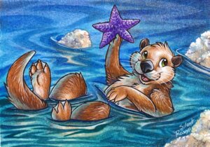 Rating: Safe Score: 0 Tags: 2013 ambiguous_gender aquatic asterozoan carrying_another duo e621 echinoderm feet feral green_eyes lying mammal membrane_(anatomy) mustelid on_back otter outside silentravyn solo_focus starfish tail toes traditional_media_(artwork) water webbed_feet wet User: bunchy7s