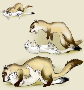 Rating: Explicit Score: 0 Tags: anal anal_orgasm anal_penetration anatomically_correct anatomically_correct_genitalia anatomically_correct_penis animal_genitalia animal_penis balls bite bodily_fluids cum cum_on_self cum_while_penetrated cumshot domestic_ferret dominant dominant_feral dominant_male duo e621 ejaculation erection feral feral_on_feral feral_penetrated feral_penetrating feral_penetrating_feral forced from_front_position genital_fluids genitals hands-free hooked_penis larger_dom larger_male male male/male male_penetrated male_penetrating male_penetrating_male mammal mustelid mustelid_penis musteline orgasm penetration penile penile_penetration penis penis_in_ass pinned pounce rape selwyn sex size_difference smaller_male smaller_penetrated stoat submissive submissive_feral submissive_male tail true_musteline weasel weasely User: bunchy7s