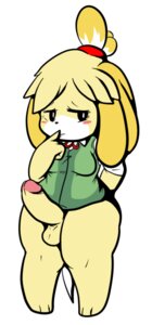 Rating: Explicit Score: 0 Tags: aintsmart animal_crossing anthro balls blush bottomless canid canine canis clothed clothing crossgender digital_media_(artwork) domestic_dog e621 erection genitals gynomorph humanoid_genitalia humanoid_penis intersex isabelle_(animal_crossing) mammal nintendo penis shih_tzu simple_background solo toy_dog white_background User: bunchy7s