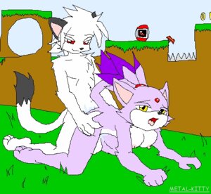 Rating: Explicit Score: 0 Tags: anthro blaze_the_cat cat domestic_cat feline female fur male mammal metal-kitty rule34 sega sonic_(series) sonic_the_hedgehog_(series) straight tagme User: bunchy7s