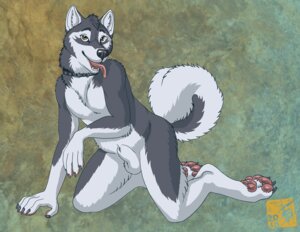 Rating: Explicit Score: 0 Tags: 1boy 2010 balls canine collar feralityillustration malamute male male_only nude rule34 sheath solo User: bunchy7s
