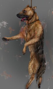 Rating: Explicit Score: 0 Tags: 3:5 abuse ambiguous_gender angst animal_abuse asphyxiation blood bodily_fluids canid canine canis choking claws collar death detailed digital_media_(artwork) domestic_dog e621 erotic_asphyxiation feral full-length_portrait german_shepherd gore grey_background hanged herding_dog lol_comments mammal mastersdoggy noose pastoral_dog pawpads paws portrait realistic realistic_feral rope simple_background snuff solo teeth tongue unavailable_at_source zoosadism User: bunchy7s