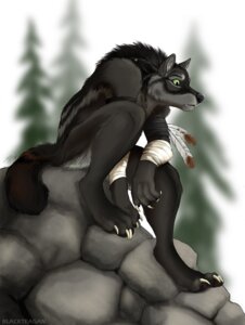 Rating: Safe Score: 0 Tags: 2010 anthro arm_wraps bandage biped black_body black_fur blackteagan boulder canid canine canis claws detailed_background e621 feathers forest fur green_eyes male mammal nude outside pawpads plant rock sitting solo stare tail toony tree wolf wood wraps User: bunchy7s