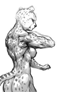 Rating: Questionable Score: 0 Tags: 5:8 anthro athletic back_muscles biceps biped breasts butt cheetah cheetah_(dc) dc_comics e621 felid feline female greyscale mammal monochrome muscular muscular_anthro muscular_female nipples nude pokkuti rear_view side_boob simple_background solo standing tail white_background wonder_woman_(series) User: bunchy7s Rating: Questionable Score: 0 Tags: 5:8 anthro athletic back_muscles biceps biped breasts butt cheetah cheetah_(dc) dc_comics e621 felid feline female greyscale mammal monochrome muscular muscular_anthro muscular_female nipples nude pokkuti rear_view side_boob simple_background solo standing tail white_background wonder_woman_(series) User: bunchy7s