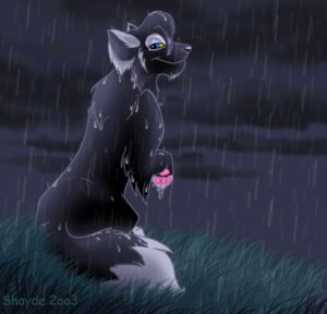 Rating: Safe Score: 0 Tags: 2003 canid canine canis dark detailed_background dipstick_tail e621 female feral low_res mammal markings outside paws raining rear_view shayde_(artist) solo tail tail_markings toony water wet wolf User: bunchy7s
