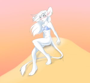 Rating: Safe Score: 0 Tags: 2010 albino anthro bikini blush bra clothed clothing e621 ear_piercing female fur hair mammal mouse murid murine piercing rodent skimpy solo swimwear tail tassy_(artist) tight_clothing two-piece_swimsuit underwear white_body white_fur white_hair User: bunchy7s