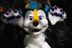 Rating: Safe Score: 0 Tags: absurd_res ambiguous_gender anthro blonde_hair blue_hair char_(photographer) clothing costume e621 fursuit grandfathered_content hair hands_above_head hi_res jazzy looking_at_viewer mammal mephitid open_mouth outside pose purple_eyes real short_hair skunk solo User: bunchy7s