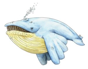 Rating: Safe Score: 0 Tags: ambiguous_gender annaj aquatic blue_body cetacean e621 feral generation_3_pokemon mammal nintendo pokemon pokemon_(species) simple_background solo wailmer white_background User: bunchy7s