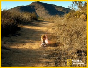 Rating: Safe Score: 0 Tags: ambiguous_gender chimchar day desert e621 fire flaming_tail generation_4_pokemon izzatakiwa mixed_media national_geographic nature nintendo outside photo_background photography_(artwork) pokemon pokemon_(species) pokemon_geographic sky solo tail User: bunchy7s