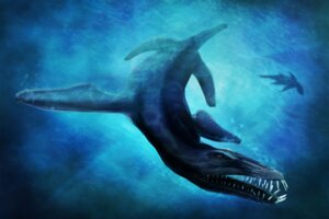 Rating: Safe Score: 0 Tags: 2013 7ofdiamonds ambiguous_gender aquatic blue_theme cool_colors duo e621 feral liopleurodon plesiosaur pliosaur prehistoric_species reptile scalie solo_focus teeth underwater water User: bunchy7s