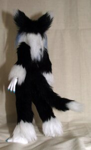 Rating: Safe Score: 0 Tags: anthro biped black_body black_fur black_hair blue_hair blue_nails bureido colored_nails domestic_cat e621 feet felid feline felis female fluffy fluffy_ears fluffy_tail fur grandfathered_content hair long_hair mammal multicolored_body multicolored_fur multicolored_hair nails nude real simple_background solo standing tail two_tone_body two_tone_fur white_background white_body white_fur white_hair User: bunchy7s Rating: Safe Score: 0 Tags: anthro biped black_body black_fur black_hair blue_hair blue_nails bureido colored_nails domestic_cat e621 feet felid feline felis female fluffy fluffy_ears fluffy_tail fur grandfathered_content hair long_hair mammal multicolored_body multicolored_fur multicolored_hair nails nude real simple_background solo standing tail two_tone_body two_tone_fur white_background white_body white_fur white_hair User: bunchy7s