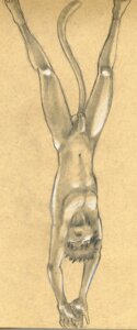 Rating: Explicit Score: 0 Tags: anthro balls circumcised domestic_cat e621 eyes_closed falling felid feline felis flaccid genitals hi_res humanoid_genitalia humanoid_penis male mammal nude open_mouth penis solo spread_legs spreading tail tush_(artist) upside_down User: bunchy7s Rating: Explicit Score: 0 Tags: anthro balls circumcised domestic_cat e621 eyes_closed falling felid feline felis flaccid genitals hi_res humanoid_genitalia humanoid_penis male mammal nude open_mouth penis solo spread_legs spreading tail tush_(artist) upside_down User: bunchy7s
