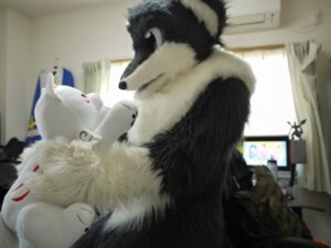 Rating: Safe Score: 0 Tags: amaterasu_(okami) ambiguous_gender anthro canid canine canis capcom clothing clover_studio costume deity duo e621 feral fox fur fursuit grandfathered_content mammal netiel okami_(capcom) photography_(artwork) plushie real white_body white_fur wolf User: bunchy7s