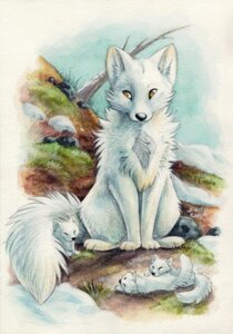 Rating: Safe Score: 0 Tags: 2012 ambiguous_gender arctic_fox canid canine e621 feral fox heart_symbol mammal silentravyn solo tail traditional_media_(artwork) true_fox yellow_eyes young young_feral User: bunchy7s Rating: Safe Score: 0 Tags: 2012 ambiguous_gender arctic_fox canid canine e621 feral fox heart_symbol mammal silentravyn solo tail traditional_media_(artwork) true_fox yellow_eyes young young_feral User: bunchy7s