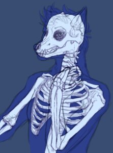 Rating: Safe Score: 0 Tags: anatomy anthro black_and_blue bone canid canine canis e621 internal looking_at_viewer male mammal monochrome rib_cage seishukuumou skeleton skull solo spine teeth wolf User: bunchy7s Rating: Safe Score: 0 Tags: anatomy anthro black_and_blue bone canid canine canis e621 internal looking_at_viewer male mammal monochrome rib_cage seishukuumou skeleton skull solo spine teeth wolf User: bunchy7s