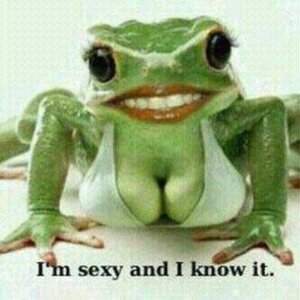 Rating: Questionable Score: 0 Tags: 1:1 amphibian big_breasts big_eyes breasts busty_feral cleavage clothed clothing e621 english_text eyelashes female feral frog humor lips lipstick low_res makeup non-mammal_breasts scalie smile solo teeth text toad_(frog) unknown_artist what_has_science_done User: bunchy7s Rating: Questionable Score: 0 Tags: 1:1 amphibian big_breasts big_eyes breasts busty_feral cleavage clothed clothing e621 english_text eyelashes female feral frog humor lips lipstick low_res makeup non-mammal_breasts scalie smile solo teeth text toad_(frog) unknown_artist what_has_science_done User: bunchy7s