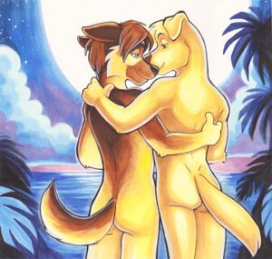 Rating: Questionable Score: 0 Tags: anthro beach bird_dog blue_eyes brown_eyes brown_hair butt canid canine canis cloud detailed_background domestic_dog duo e621 eye_contact german_shepherd golden_retriever hair herding_dog hug hunter_(road_rovers) hunting_dog looking_at_another love male male/male mammal moon night nude outside palm_tree pastoral_dog plant rear_view retriever road_rovers romantic romantic_ambiance romantic_couple sea seaside short_hair sky smile standing star starry_sky tail tigsie tree water User: bunchy7s