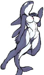 Rating: Explicit Score: 0 Tags: anthro aquatic breasts cetacean digital_media_(artwork) dolphin e621 female genitals mammal mutabouru navel nipples oceanic_dolphin oekaki orca pinup pose simple_background solo swimming tail toothed_whale vulva white_background wide_hips User: bunchy7s