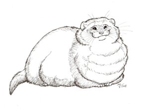 Rating: Safe Score: 0 Tags: ambiguous_gender beady_eyes black_and_white conditional_dnp domestic_ferret e621 feral mammal monochrome moodyferret mustelid musteline overweight overweight_ambiguous overweight_feral simple_background sketch smile solo true_musteline weasel white_background User: bunchy7s Rating: Safe Score: 0 Tags: ambiguous_gender beady_eyes black_and_white conditional_dnp domestic_ferret e621 feral mammal monochrome moodyferret mustelid musteline overweight overweight_ambiguous overweight_feral simple_background sketch smile solo true_musteline weasel white_background User: bunchy7s