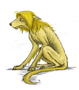 Rating: Safe Score: 0 Tags: blonde_hair canid canine canis chimera domestic_dog e621 edward_elric feral feriowind fullmetal_alchemist hair human hybrid male mammal sad simple_background solo tail tucker_chimera_(fma) white_background User: bunchy7s