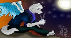 Rating: Safe Score: 0 Tags: alado angelwolf anthro barefoot beverage biped canid canine canis clothed clothing dark_lycan digital_media_(artwork) e621 feathered_wings feathers feet full-length_portrait fully_clothed half-closed_eyes high_place holding_beverage holding_object hot_drink male mammal moon narrowed_eyes portrait sad side_view sitting sky solo star starry_sky sunset tail tired white_body wings wolf User: bunchy7s