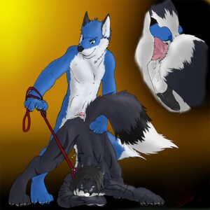 Rating: Explicit Score: 0 Tags: 2010 all_fours anal anal_sex ass ass_up balls blue canine canine_penis collar cum furry gay knot leash male no_humans nude penetration penis raised_tail rule34 sex swizzlestix tail User: bunchy7s